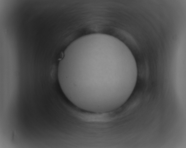 X0000101110036200807101519