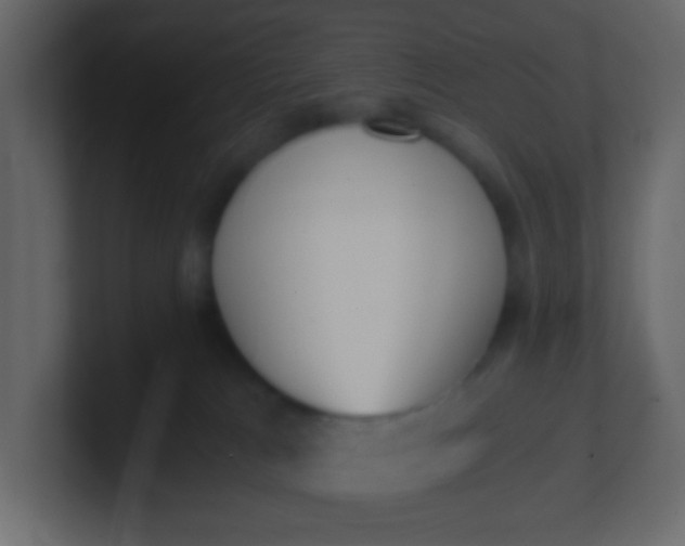 X0000101110037200807101519