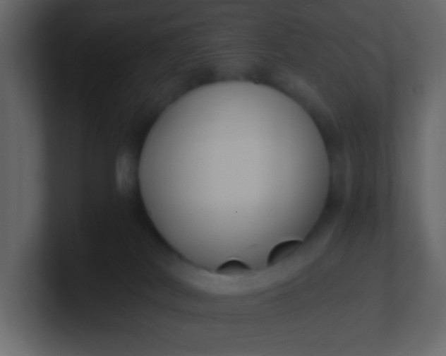X0000101110038200807101519