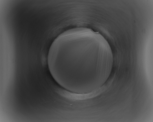 X0000101110039200807101519