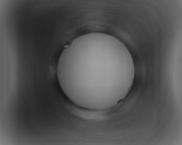 X0000101110040200807101519