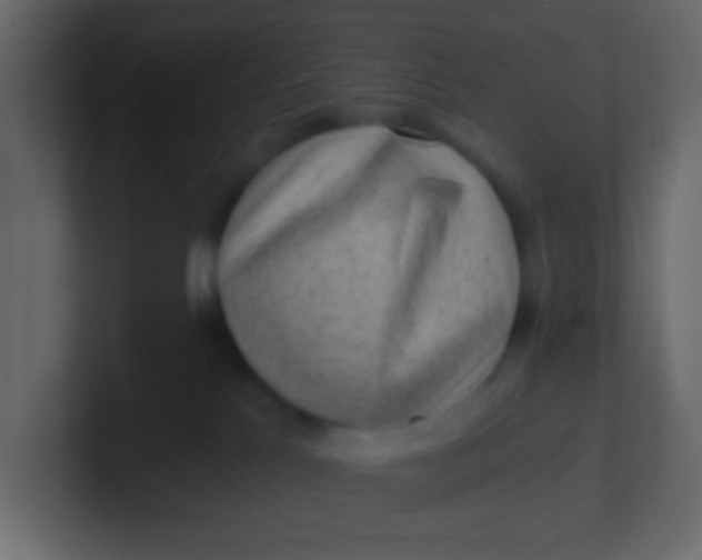 X0000101110041200807101519