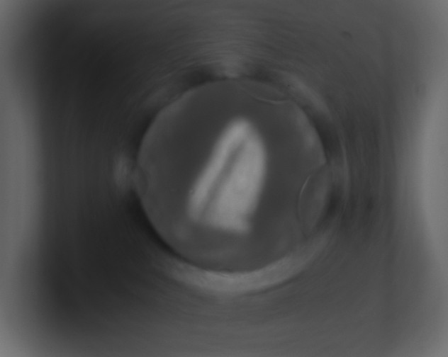 X0000101110043200807101519