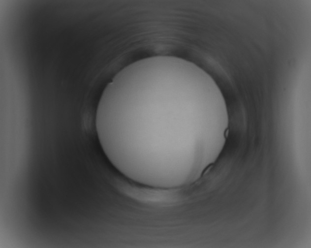 X0000101110044200807101519