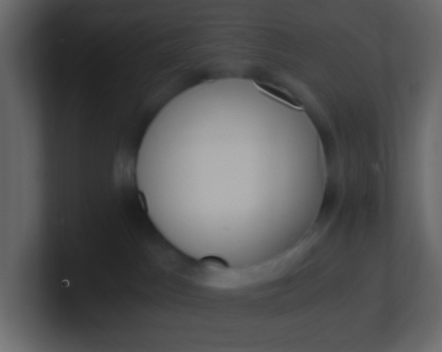 X0000101110045200807101519
