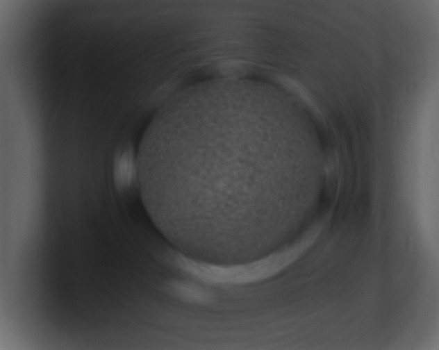 X0000101110046200807101519