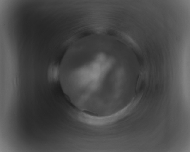 X0000101110047200807101519