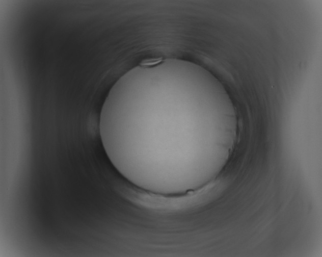 X0000101110048200807101519