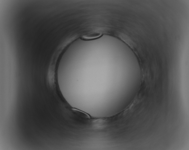 X0000101110050200807101518