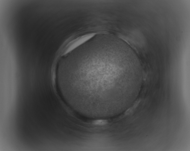 X0000101110053200807101518