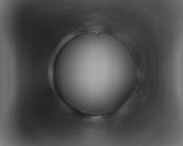 X0000101110054200807101518