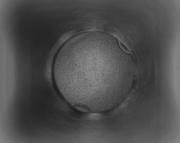 X0000101110055200807101518