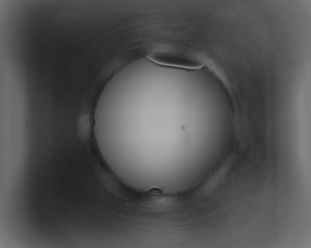 X0000101110057200807101518