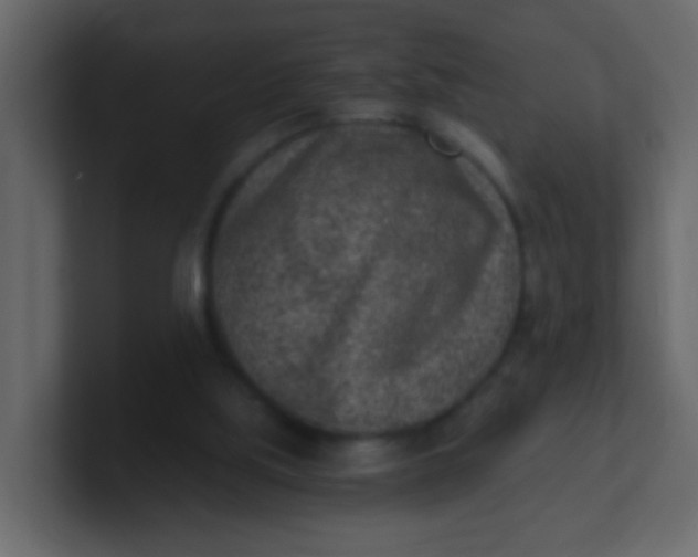 X0000101110059200807101518