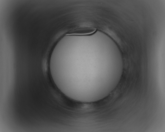 X0000101110060200807101518