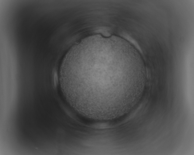 X0000101110061200807101518