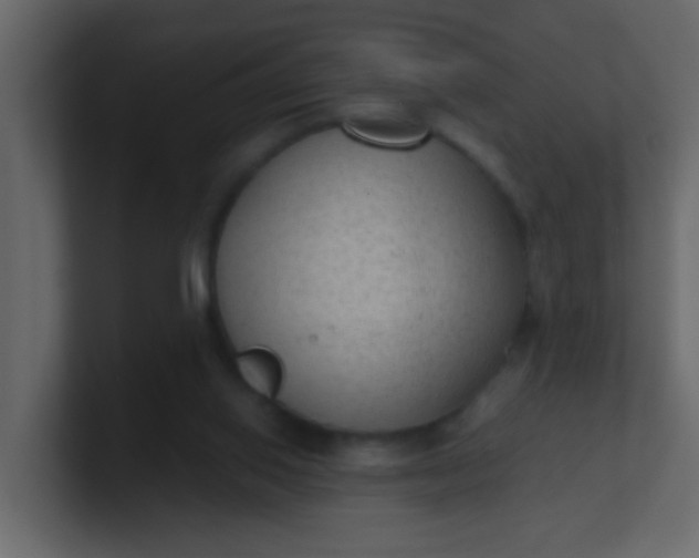 X0000101110062200807101518