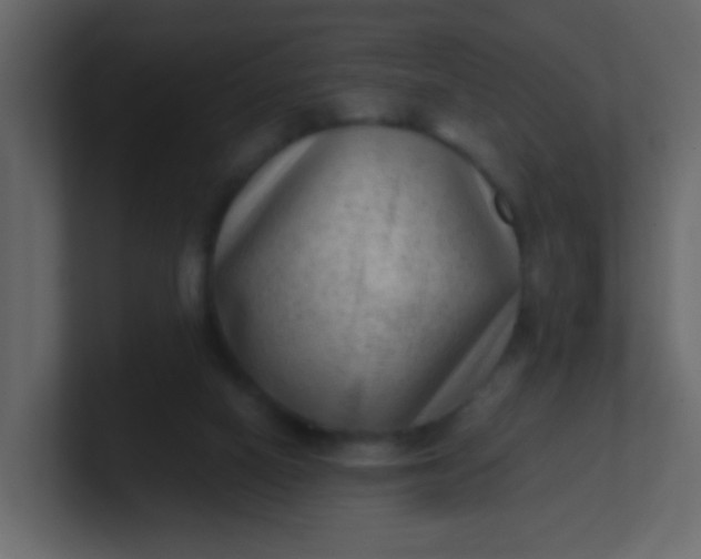 X0000101110066200807101518