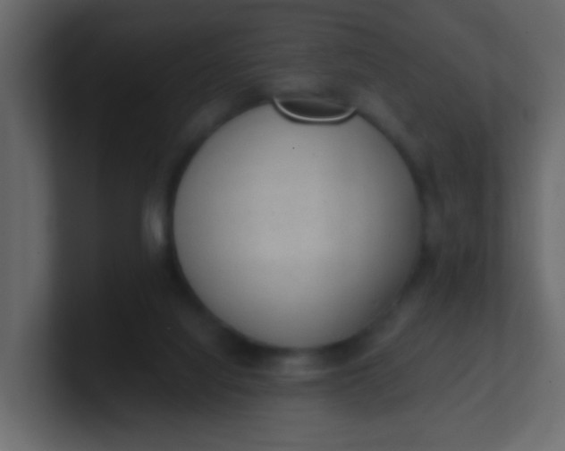 X0000101110068200807101518