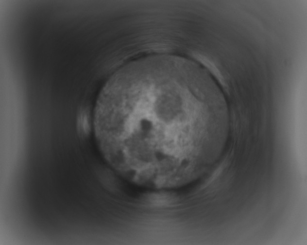 X0000101110069200807101518
