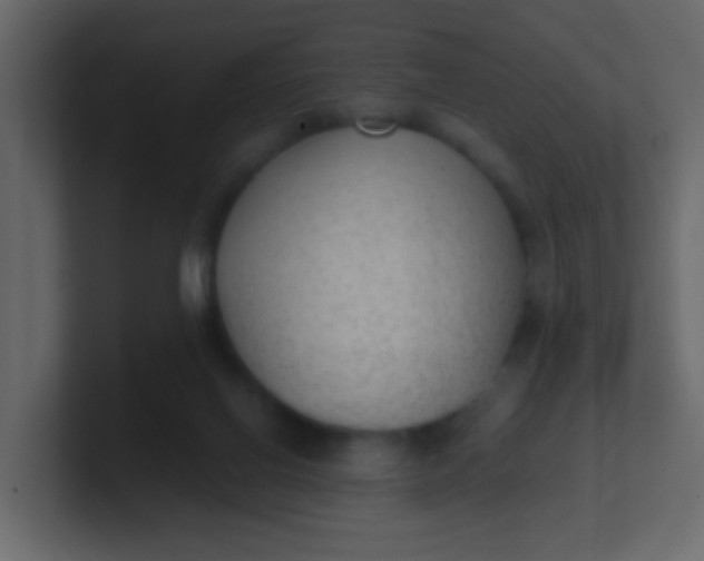 X0000101110070200807101518