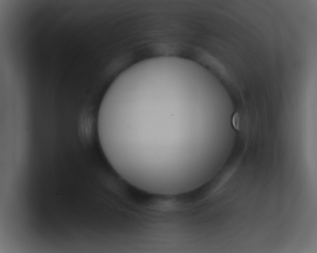 X0000101110071200807101518