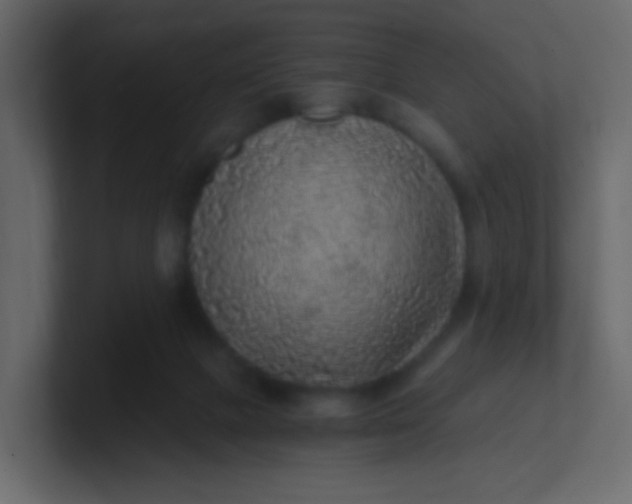 X0000101110073200807101518