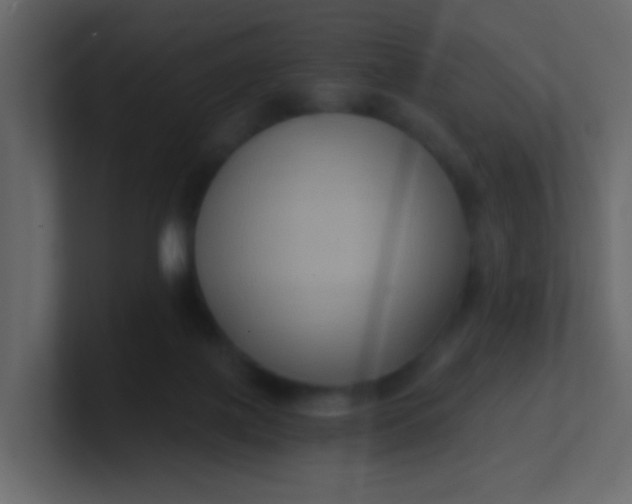 X0000101110075200807101518