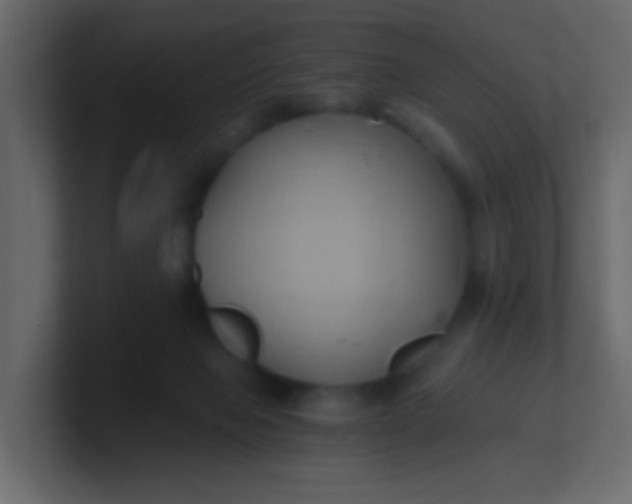 X0000101110077200807101518