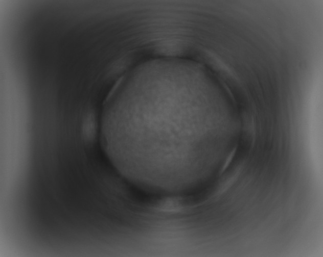 X0000101110080200807101518