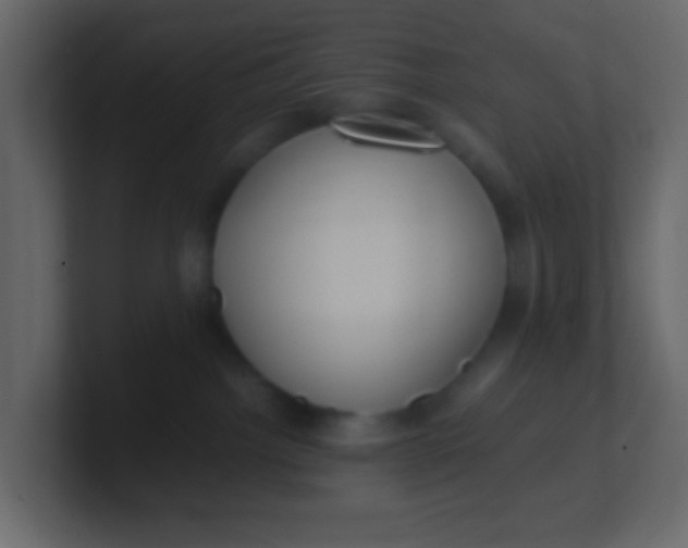 X0000101110092200807101518