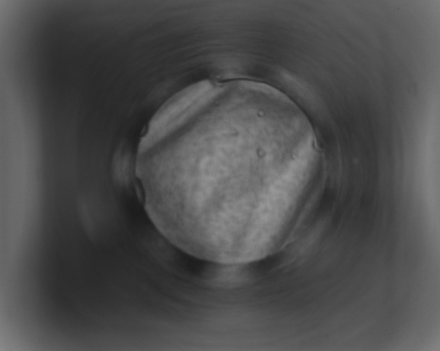 X0000101110093200807101519