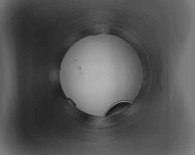 X0000101110096200807101519