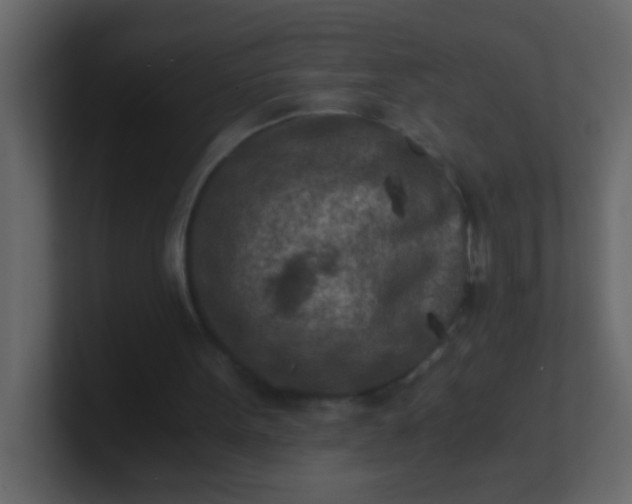 X0000101110099200807101518
