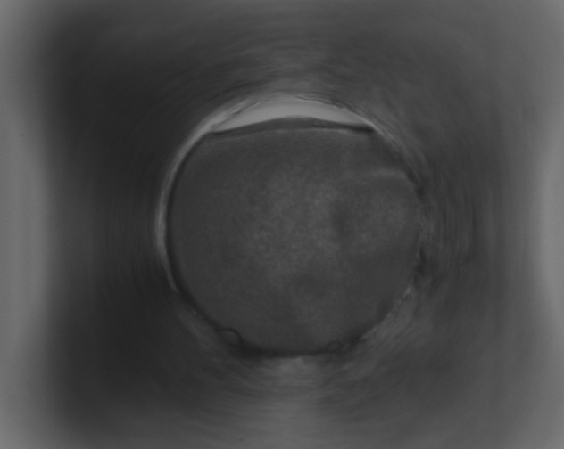 X0000101110100200807101518