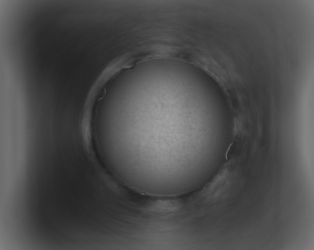 X0000101110101200807101518