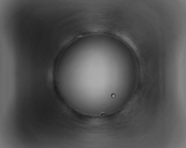 X0000101110105200807101518