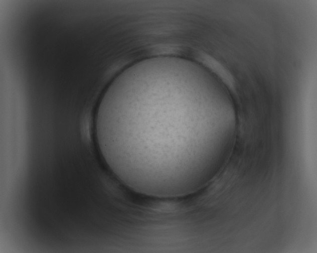 X0000101110107200807101518