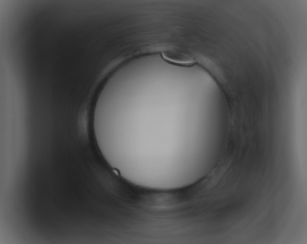 X0000101110108200807101518