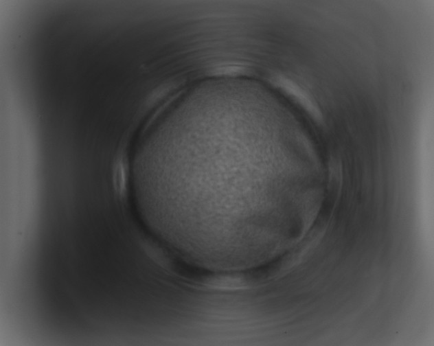 X0000101110110200807101518
