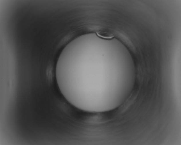 X0000101110116200807101518