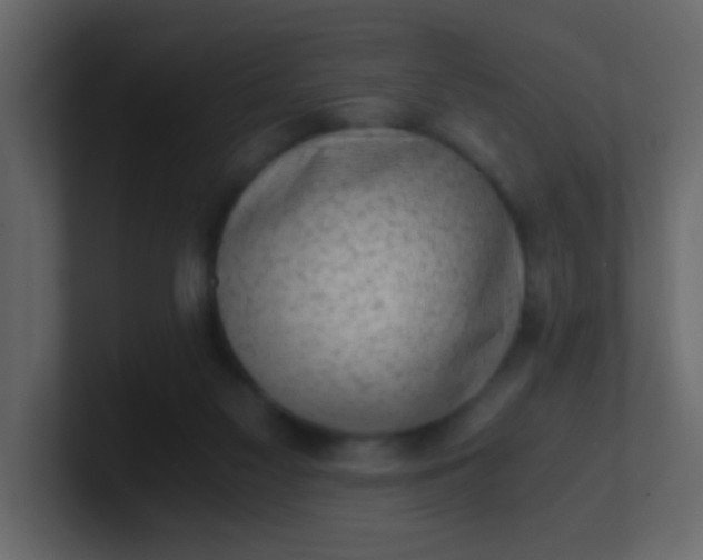 X0000101110117200807101518