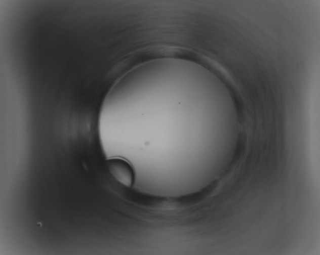 X0000101110119200807101518