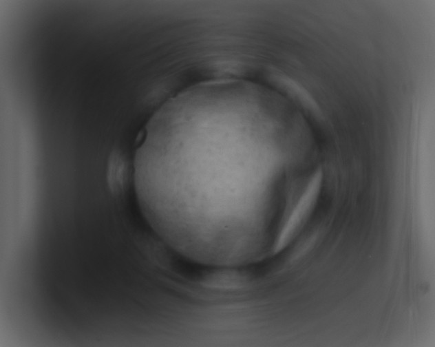 X0000101110123200807101518