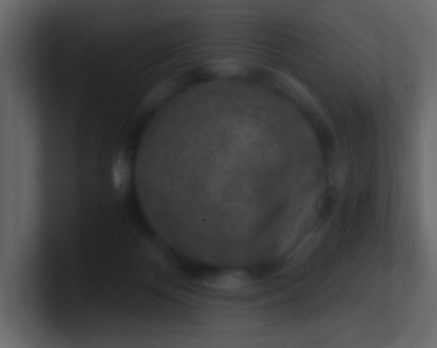 X0000101110124200807101517