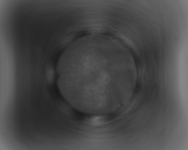 X0000101110130200807101517