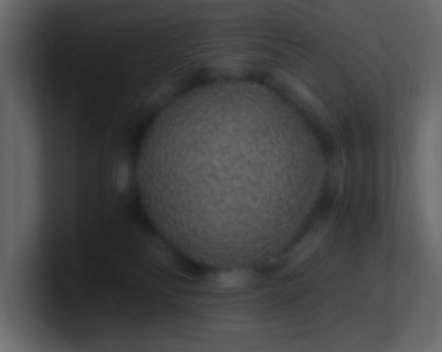 X0000101110134200807101517