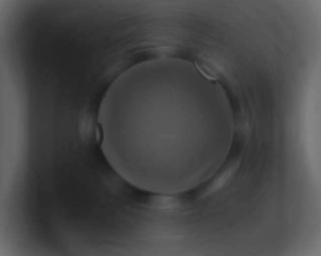 X0000101110139200807101517