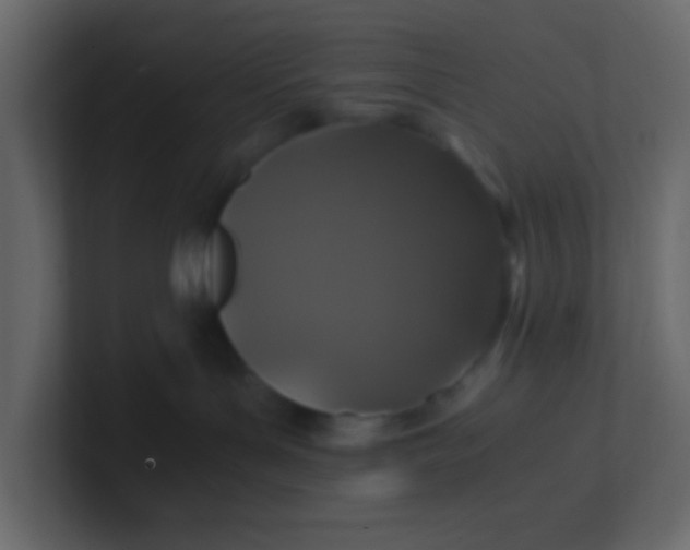 X0000101110143200807101517
