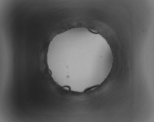X0000101110144200807101517